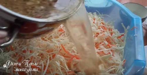 Квашеная капуста за 5 минут. Маринованная капуста быстрого приготовления — быстро и очень вкусно