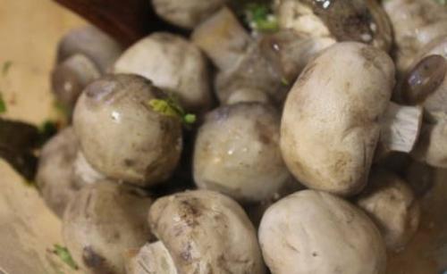 Как правильно замариновать грибы. Как приготовить маринованные шампиньоны по-корейски дома?