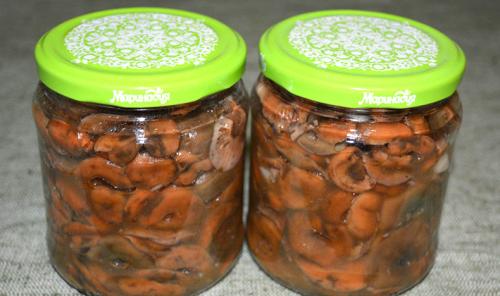 Можно ли использовать грибы, которые были накрыты плесенью. Что делать и как обработать заплесневелые грибы