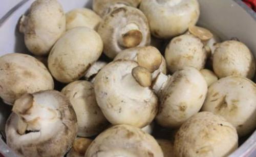 Как правильно замариновать грибы. Как приготовить маринованные шампиньоны по-корейски дома?