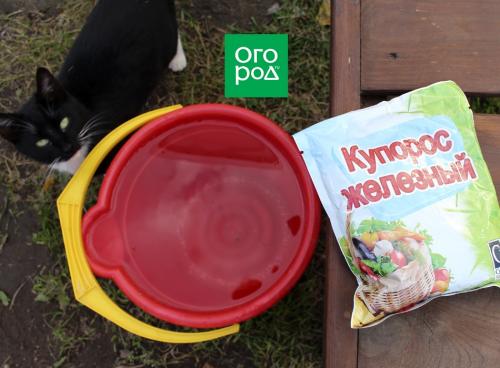Защитите свой сад: лучшие методы обработки кустов осенью 04 Защитите свой сад: лучшие методы обработки кустов осенью 04