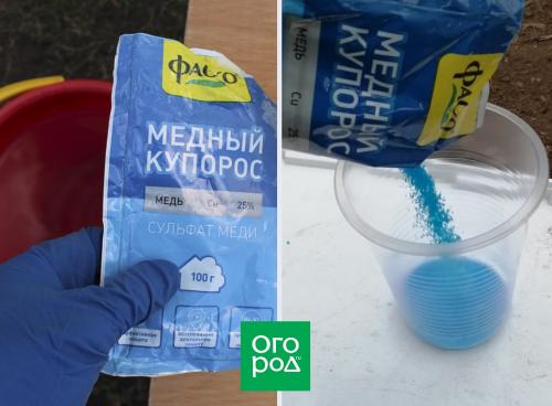 Защитите свой сад: лучшие методы обработки кустов осенью 07 Защитите свой сад: лучшие методы обработки кустов осенью 07