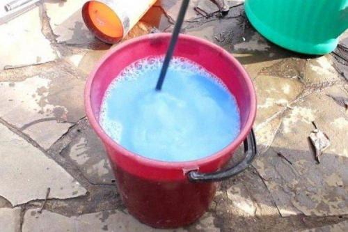 Какие методы обработки смородины существуют. Чем обработать смородину весной от болезней?