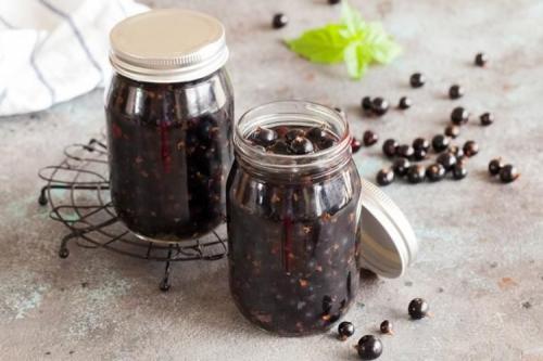 Как использовать смородину в кулинарии. 20 лучших рецептов из черной смородины