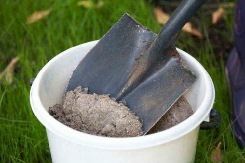 Какие методы обработки смородины существуют. Чем обработать смородину весной от болезней?