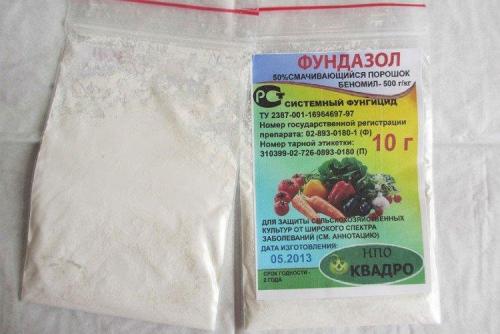 Какие методы обработки смородины существуют. Чем обработать смородину весной от болезней?