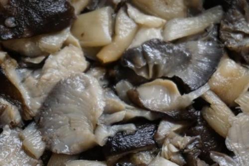 Как готовить грибы рядовки на гриле. Как пожарить рядовки