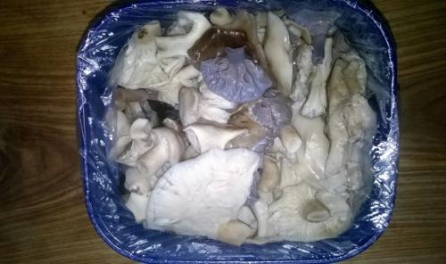 Как хранить готовые грибы рядовки. Как правильно заморозить грибы рядовки на зиму