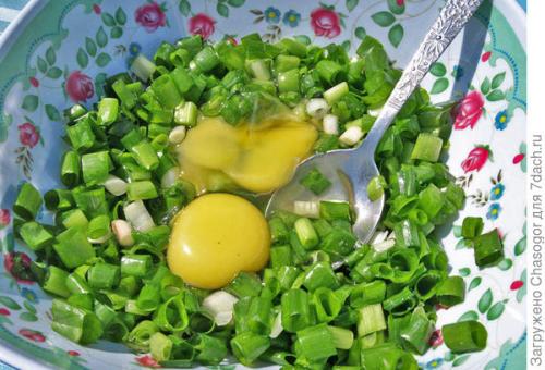 Как пересадить лук-батун весной. Сажать батун весной