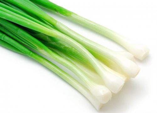 Лук-батун сорта. Сорта лука-батуна, описание