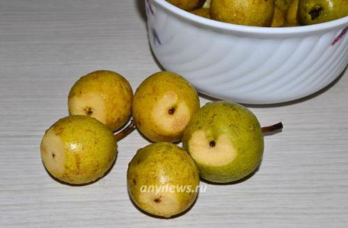 Сколько времени потребуется для сушки грушевого пюре в сушилке. Сушеные груши в электросушилке