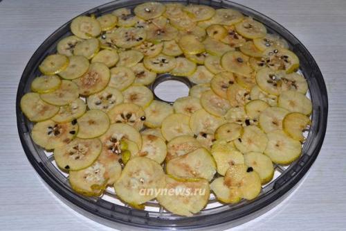 Сколько времени потребуется для сушки грушевого пюре в сушилке. Сушеные груши в электросушилке