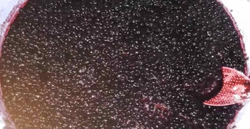 Желеобразное варенье из черники. Варенье из черники — 6 рецептов на зиму