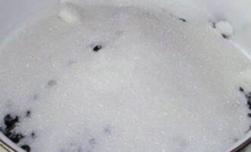 С чем сочетается черника в варенье. Черника на зиму – 10 вкусных рецептов заготовок