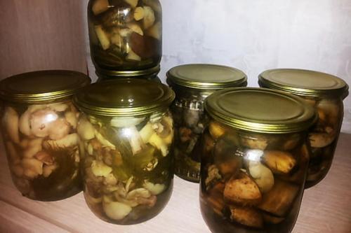 Вешенки на зиму. Как консервировать вешенки на зиму в домашних условиях