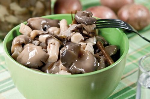 Вешенки на зиму. Как консервировать вешенки на зиму в домашних условиях