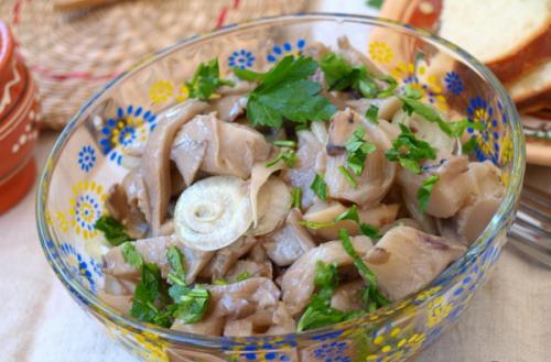 Вешенки на зиму. Как консервировать вешенки на зиму в домашних условиях