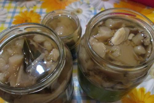 Вешенки на зиму. Как консервировать вешенки на зиму в домашних условиях