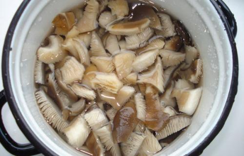 Заморозка грибов вешенок на зиму в домашних условиях. Как заморозить вешенки на зиму в домашних условиях 05