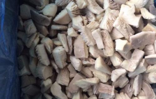 Замороженные вешенки пожелтели. Преимущества метода