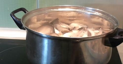 Как консервировать грибы-вешенки на зиму. Маринованные вешенки быстрого приготовления в домашних условиях