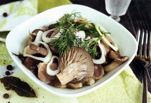 Как приготовить вешенки на зиму. Грибы вешенки — заготовки на зиму в банках, заморозка и сушка: лучшие рецепты. Очень вкусный рецепт маринованных грибов вешенок быстрого приготовления, по-корейски, с чесноком, жареных на зиму