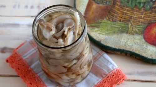 Вешенки на зиму в масле. Рецепты приготовления вешенок на зиму