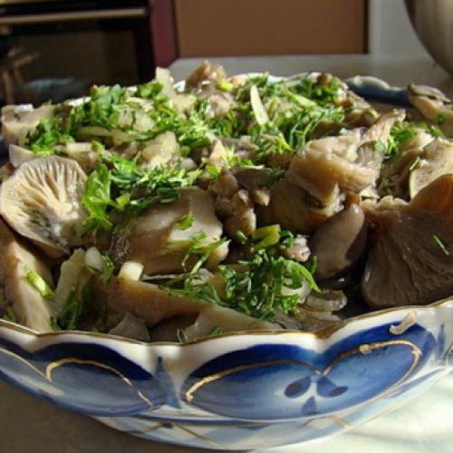 Как солить вешенки на зиму. Как солить вешенки холодным и горячим способом