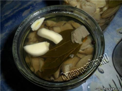 Рецепты заготовок из жареных вешенок на зиму. Как мариновать грибы. Рецепт
приготовления маринованных вешенок