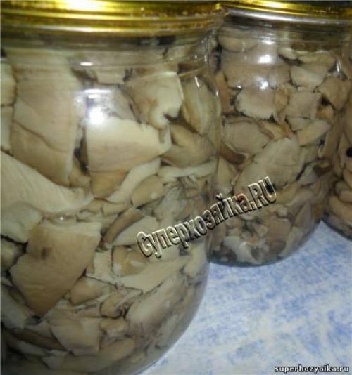 Рецепты заготовок из жареных вешенок на зиму. Как мариновать грибы. Рецепт
приготовления маринованных вешенок