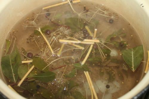 Консервирование вешенок рецепт. Как консервировать вешенки на зиму в домашних условиях