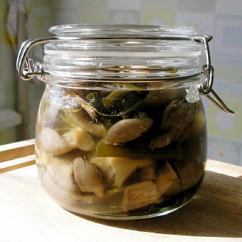 Консервирование вешенок рецепт. Как консервировать вешенки на зиму в домашних условиях