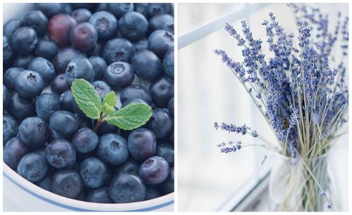 Варенье из черники без воды. Приготовление черничного варенья