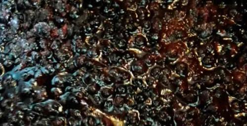 Варенье из черники без варки. Варенье из черники — 6 рецептов на зиму