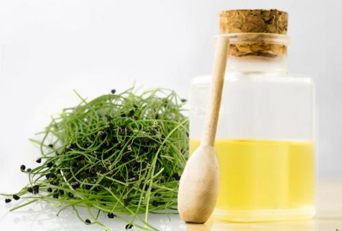 Секреты хранения лука-батуна до весны 05