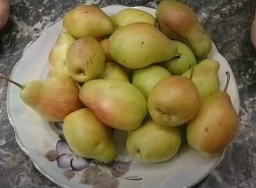 Джем из спелых груш. Джем из груш — простые рецепты на зиму с яблоками, лимоном, вермутом