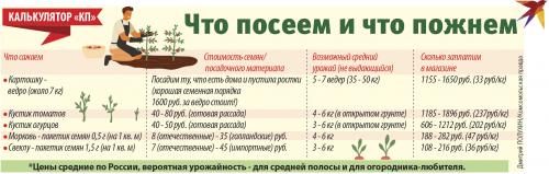 Как я могу сэкономить, выращивая свои собственные сеянцы. ГЛАВНЫЙ ИНСТРУМЕНТ САДОВОДА - ГОЛОВА
