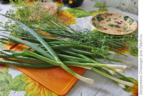 Как выбрать подходящее место для посадки лука батун под зиму. Осенняя посадка батуна