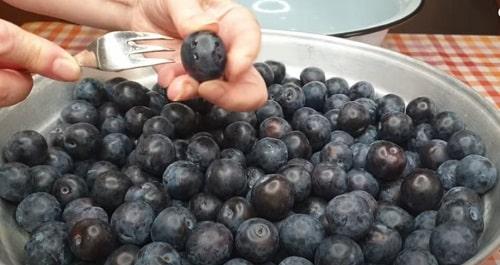 Варенье из терна с лимоном. Варенье из терна на зиму — лучшие рецепты с косточками и без них