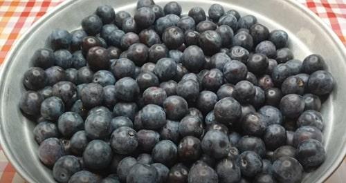 Варенье из терна с лимоном. Варенье из терна на зиму — лучшие рецепты с косточками и без них