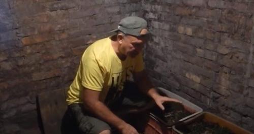 Выращивают ли белые грибы. Требования к помещению и необходимое оборудование