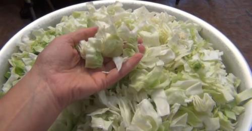 Самая вкусная капуста на зиму. Капуста на зиму — 9 очень вкусных рецептов в банке от А до Я
