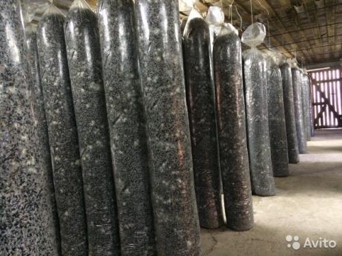 Бизнес на грибах в домашних условиях. Грибная ферма или как я стал бизнесменом