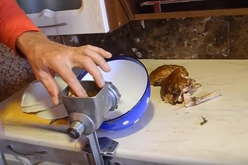 Как вырастить белые грибы дома