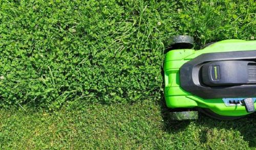 Выращивание белых грибов на приусадебном участке. Требования к помещению и необходимое оборудование 02 Выращивание белых грибов на приусадебном участке. Требования к помещению и необходимое оборудование 02