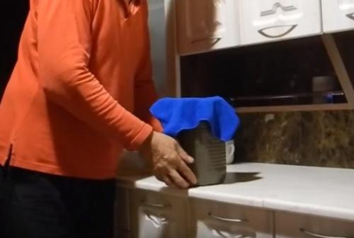 Как вырастить белые грибы дома