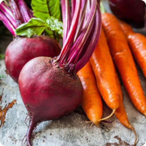 Какие сорта растений лучше всего подходят для начинающих садоводов. КАКИЕ СЕМЕНА ОВОЩЕЙ ПОКУПАТЬ НАЧИНАЮЩИМ САДОВОДАМ