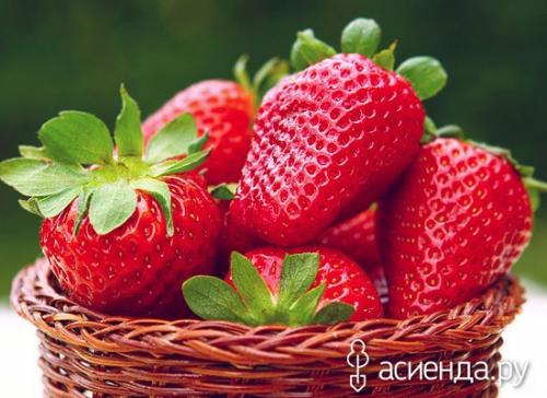 Советы по за садом и огородом. Хитрости высоких урожаев