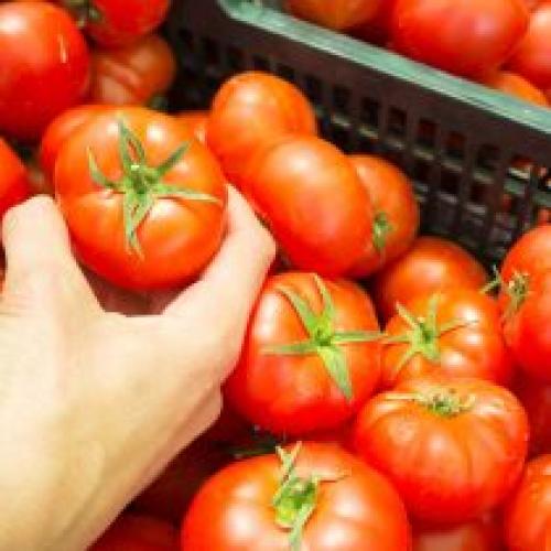 Как защитить растения от морозов и заморозков. Как защитить растения от мороза