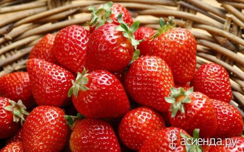 Советы по за садом и огородом. Хитрости высоких урожаев